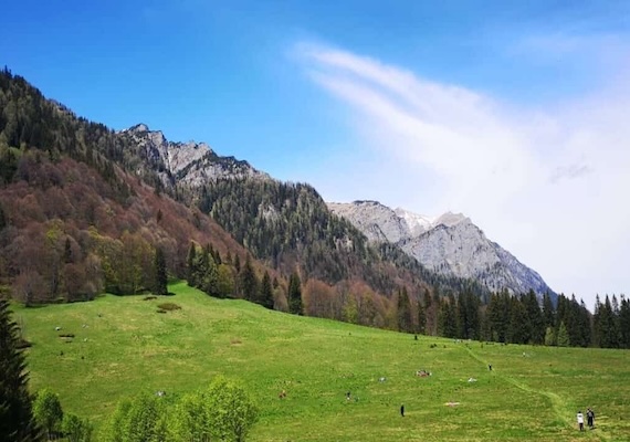 Sinaia ATV - Rezerva la pret de 200 RON/ora/ATV